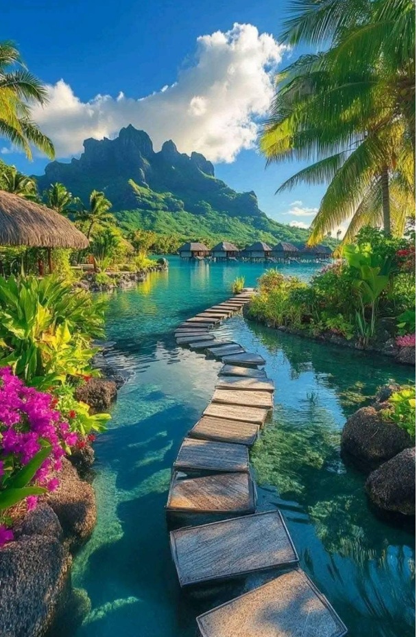 Bora Bora Vacation