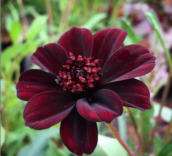 Cancun Mexico Vacation