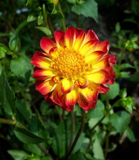 Cancun Travel Agency