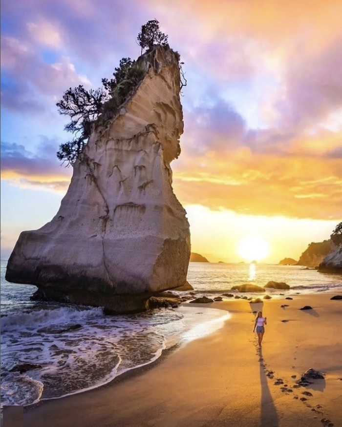 New Zealand Vacation