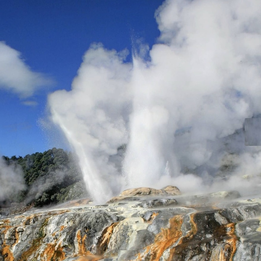 New Zealand Vacation