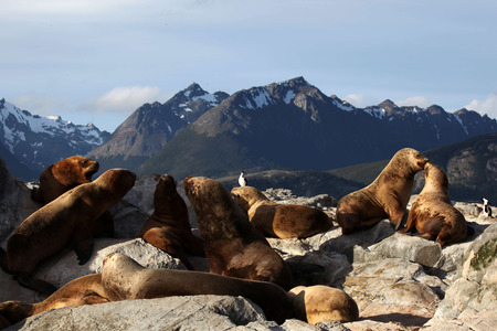 Antarctica Cruise