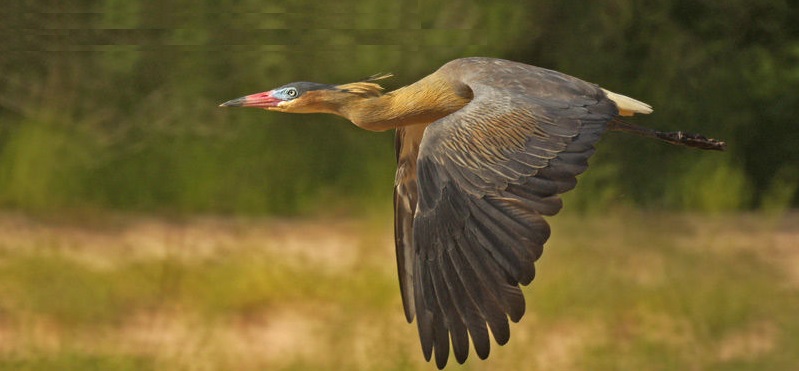 tour and travel agency