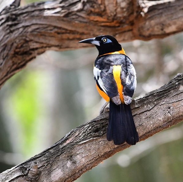 tour and travel agency