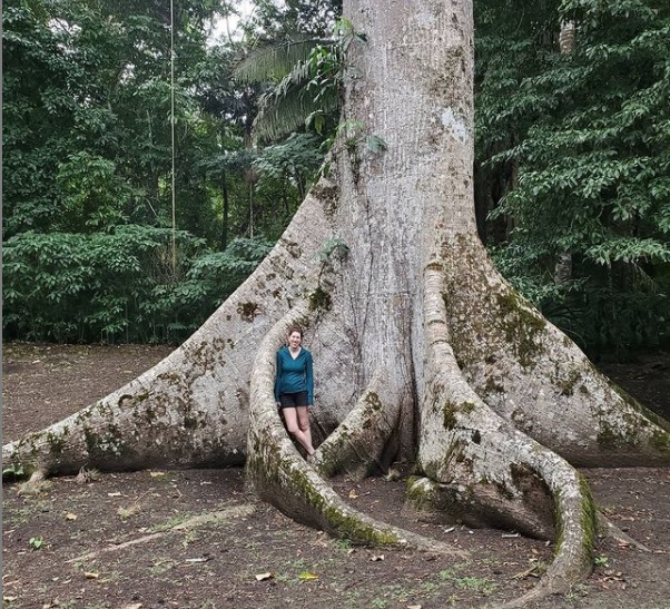 tour and travel agency