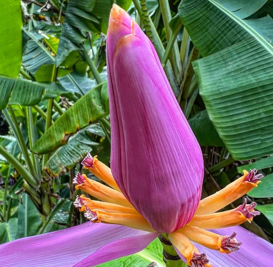 travel agency near me