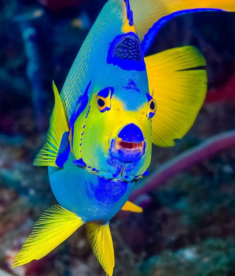 travel agency near me